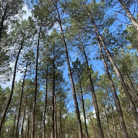 別荘 Maison En Lisiere De Foret