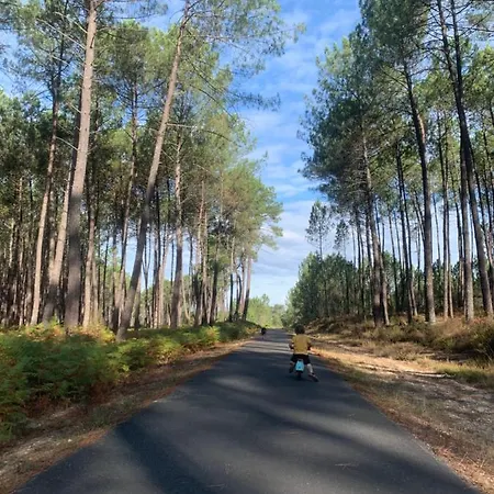 Maison En Lisiere De Foret