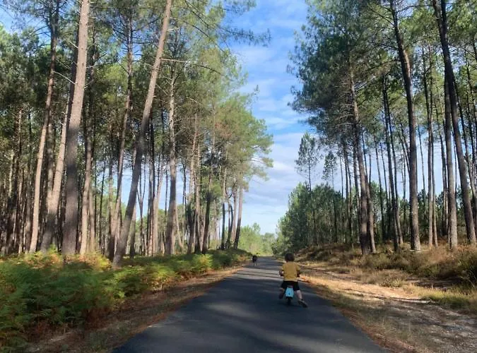 Maison En Lisiere De Foret